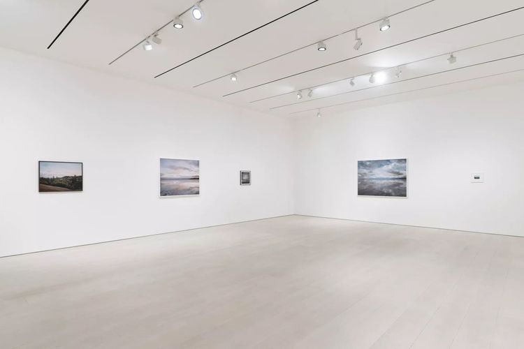 Installation view, Cardinals, Pace · 2025 (9)