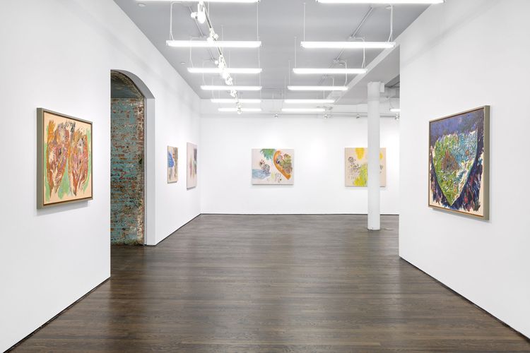 Installation view, Goran Medak, White Columns · 2026 (2)