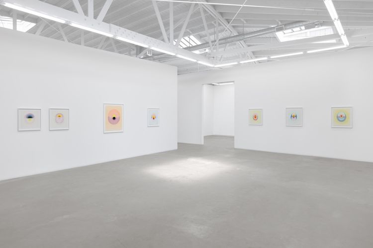 Installation view, The Drops, Luis De Jesus Los Angeles · 2026 (14)