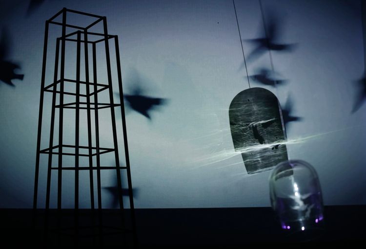 Installation view, Still Life , AIR