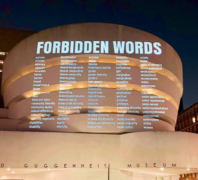 Installation view, Projecting Democracy, Nancy Hoffman · 2026 (23)