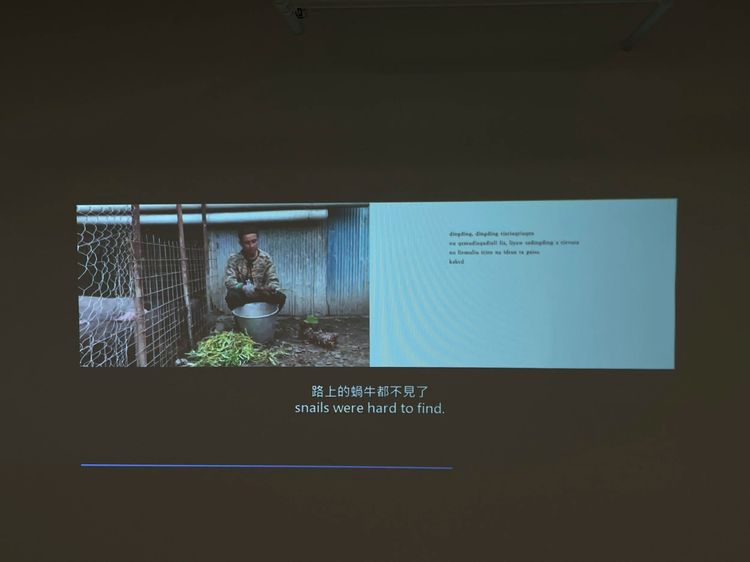 Installation view, Mapping Snail, Nunu Fine Art · 2025 (1)