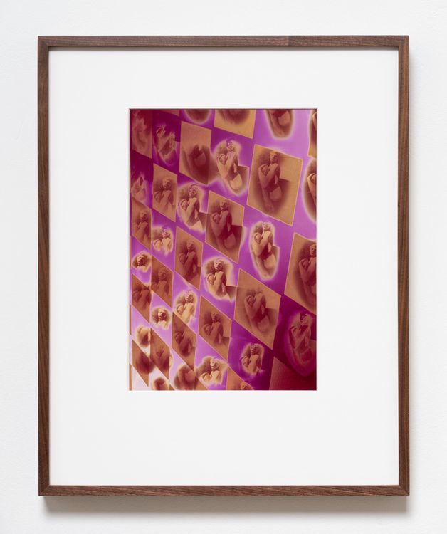 Installation view, x-ray island, Moskowitz Bayse · 2026 (13)