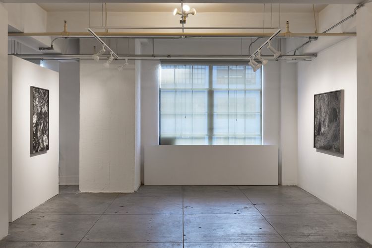 Installation view, Low Tide, Gallery Luisotti · 2026 (6)