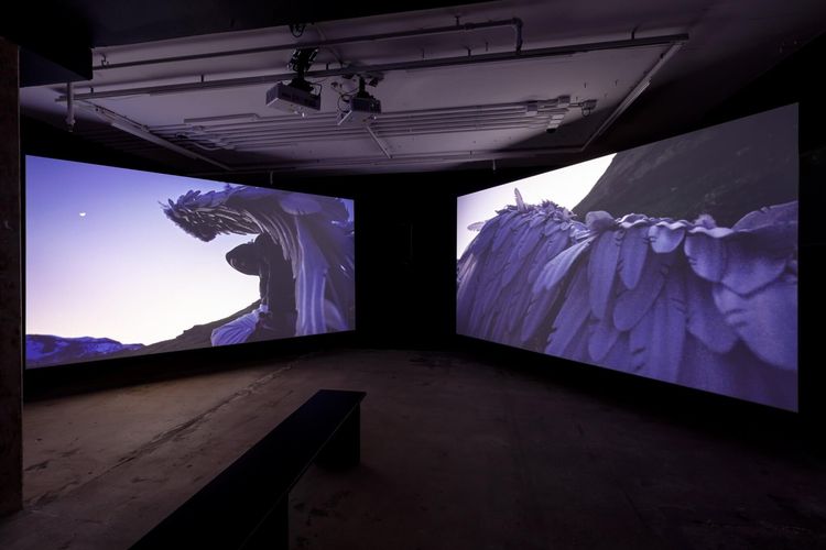 Installation view, Dweller, The Swiss Institute · 2026 (11)