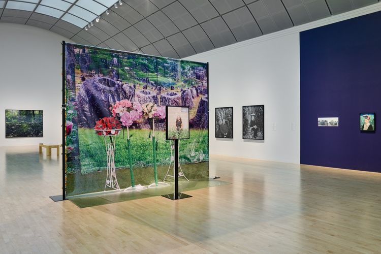 Installation view, The Imaginative Landscape, San Jose Museum of Art · 2025 (8)