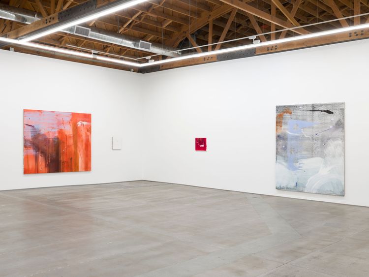 Installation view, Aragonite and conchiolin, Château Shatto · 2026 (9)