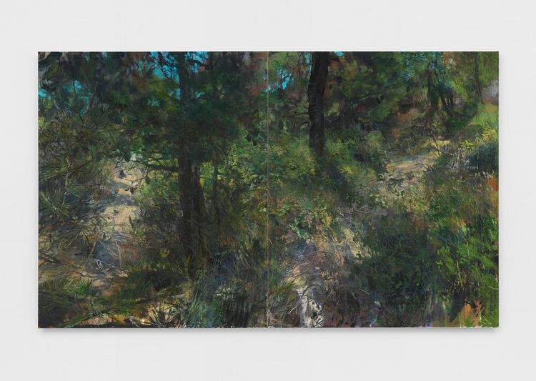 Installation view, Landscapes, Jeffrey Deitch, Wooster Street · 2026 (11)