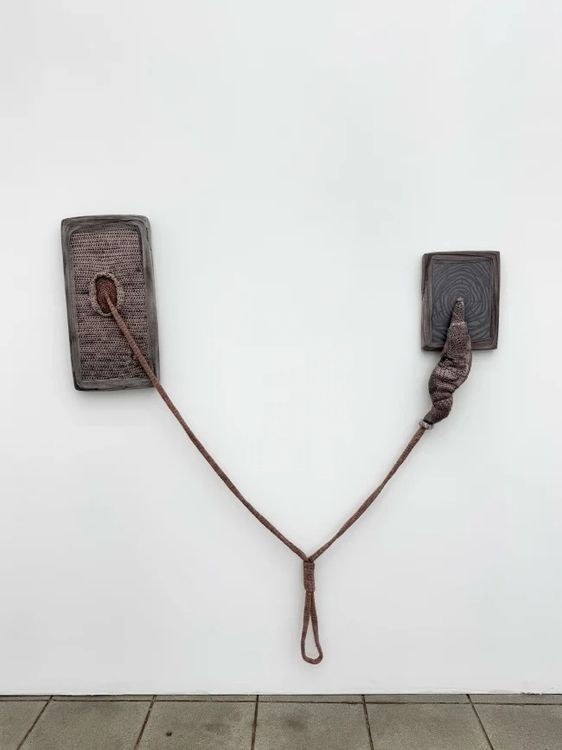 Installation view, Synnecrosis, DON'T LOOK Projects · 2026 (4)