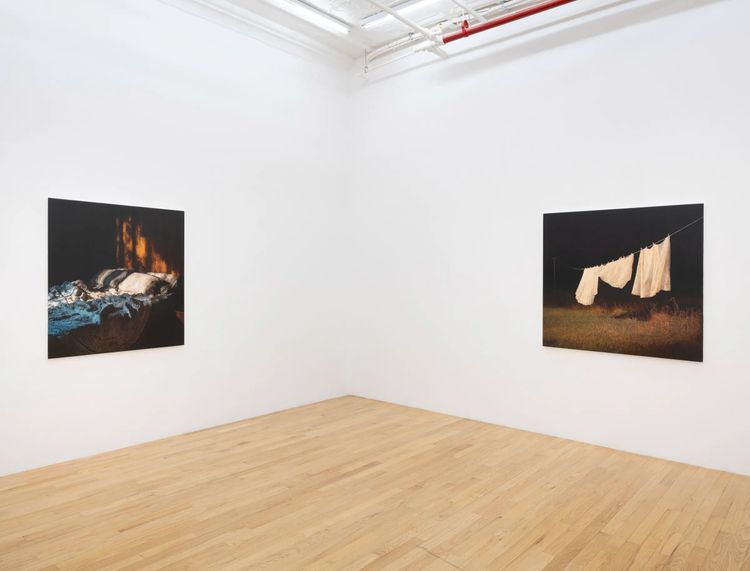 Installation view, Apollo, Broadway Gallery · 2026 (3)