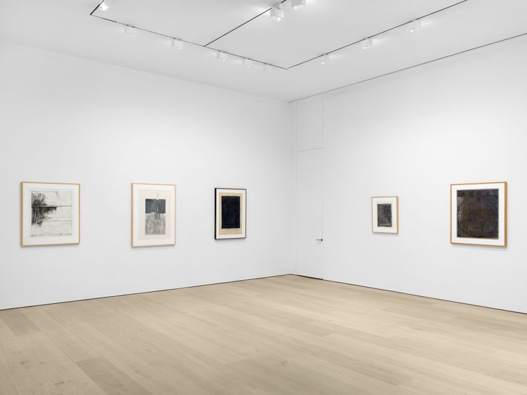 Installation view, Copy/Trace, David Zwirner, 537 West 20th Street · 2026 (1)