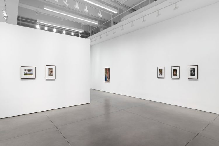 Installation view, Bones in the Canal and Other Photographs, David Kordansky Gallery, Chelsea · 2026 (17)