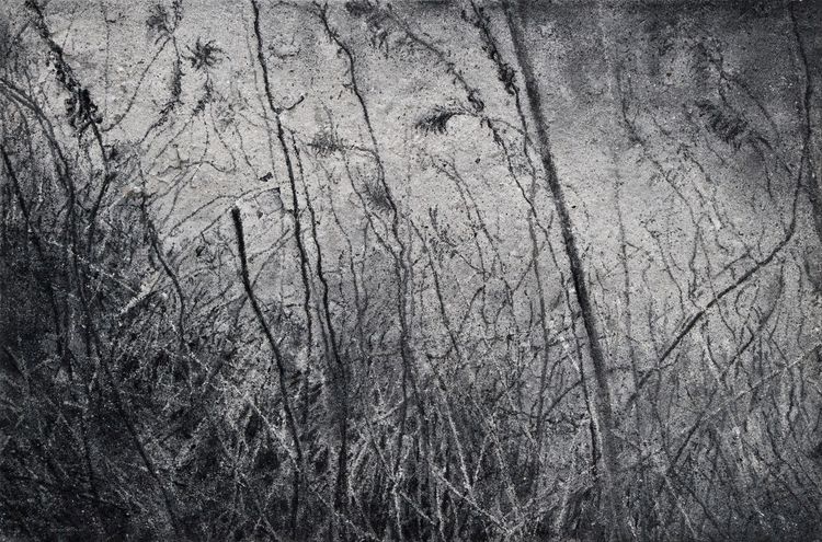 Installation view, Ash Paintings and Performances, 125 Newbury