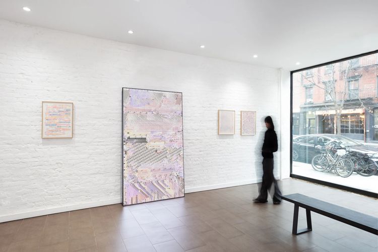 Installation view, Senescenence, Nguyen Wahed · 2026 (7)