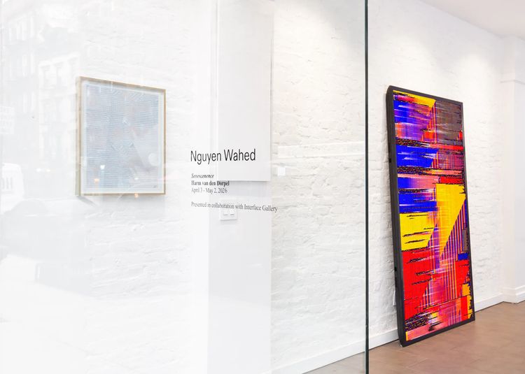 Installation view, Senescenence, Nguyen Wahed · 2026 (6)