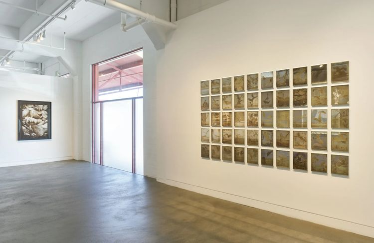 Installation view, From the Ashes, Haines Gallery · 2025 (6)