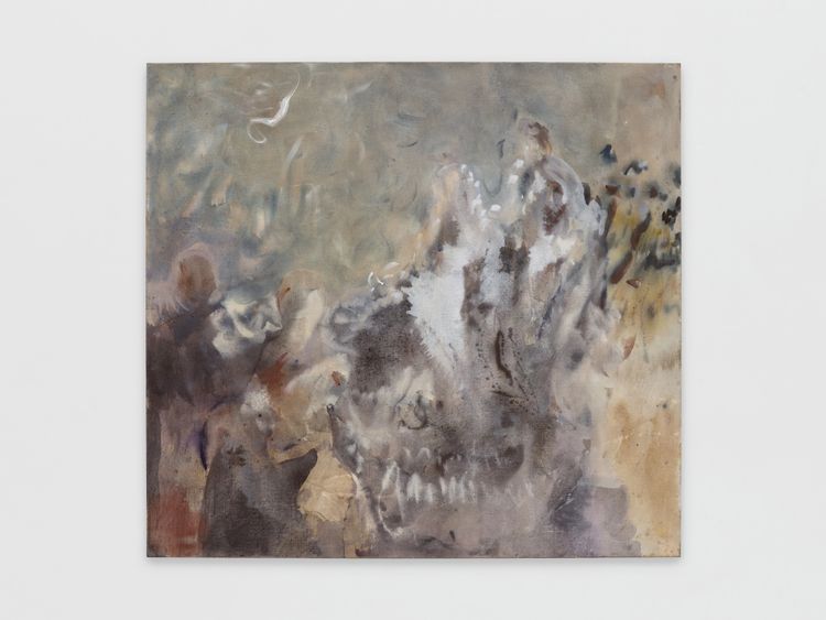 Installation view, Swallow the Ground, Tara Downs · 2026 (17)
