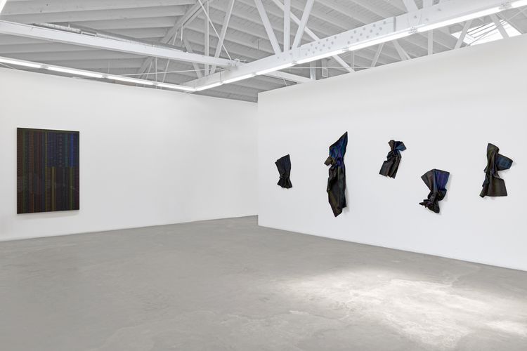 Installation view, Inheritance, Luis De Jesus Los Angeles · 2026 (7)