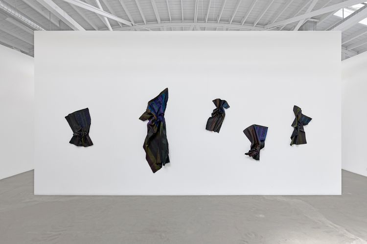 Installation view, Inheritance, Luis De Jesus Los Angeles · 2026 (8)
