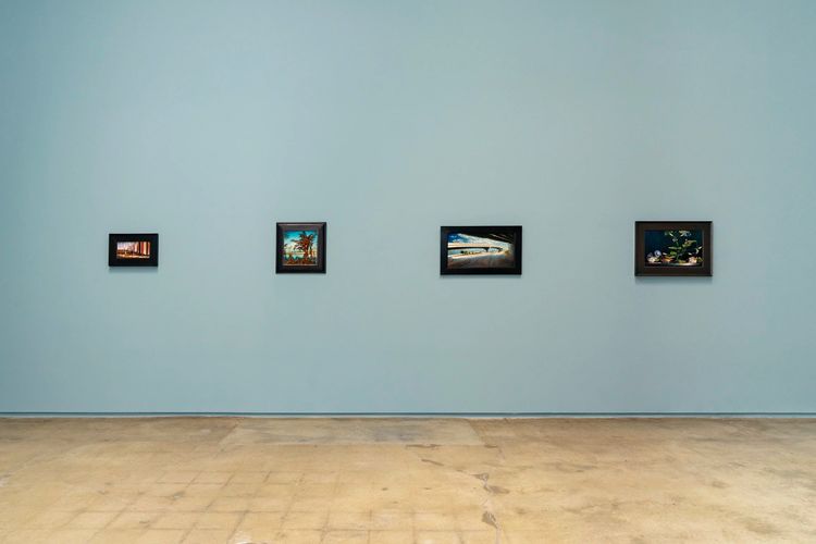 Installation view, Paintings 1982 - 2024, Michael Kohn Gallery · 2026 (6)