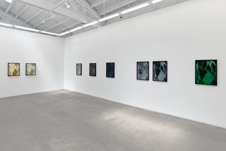 Sherin Guirguis, Into the Lake of Fire, installation view, Luis De Jesus Los Angeles, 2026