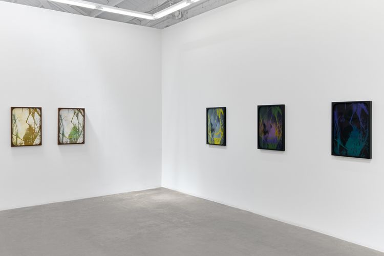 Installation view, Into the Lake of Fire (ⲉ̀ϧⲟⲩⲛ ⲉ̀ϯⲗⲩⲙⲛⲏ ⲛ̀ⲭ̀ⲣⲱⲙ), Luis De Jesus Los Angeles