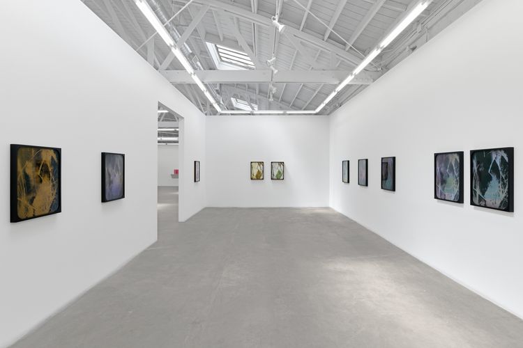 Sherin Guirguis, Into the Lake of Fire, installation view, Luis De Jesus Los Angeles, 2026