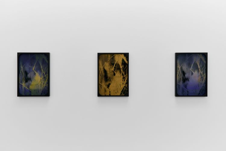 Sherin Guirguis, Into the Lake of Fire, installation view, Luis De Jesus Los Angeles, 2026