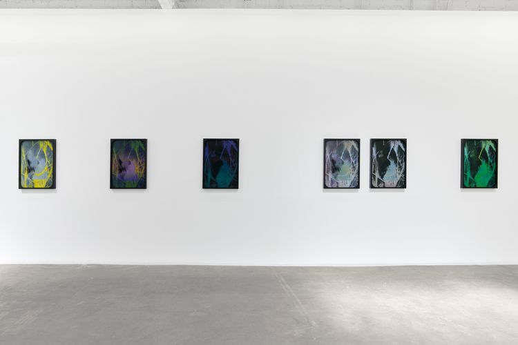 Sherin Guirguis, Into the Lake of Fire, installation view, Luis De Jesus Los Angeles, 2026