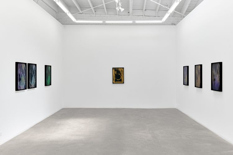 Sherin Guirguis, Into the Lake of Fire, installation view, Luis De Jesus Los Angeles, 2026