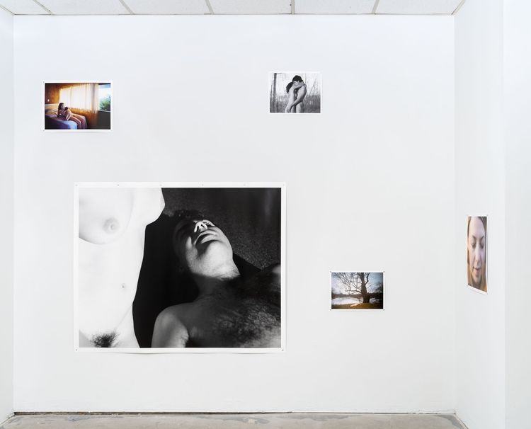 Installation view, Seasons: 11, Seasons · 2026 (3)
