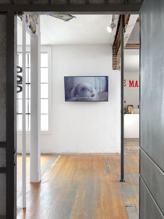 Installation view, Crownsprouting, Commonwealth and Council