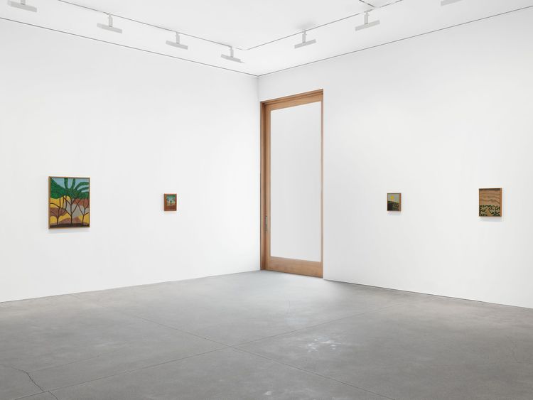Installation view, Amadeo Luciano Lorenzato, David Zwirner
