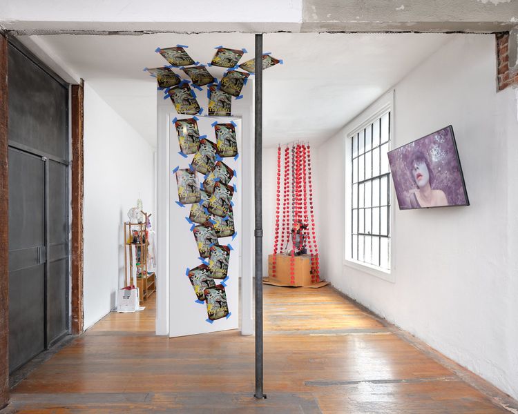 Installation view, Crownsprouting, Commonwealth and Council · 2026 (7)
