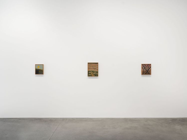 Installation view, Amadeo Luciano Lorenzato, David Zwirner · 2026 (2)