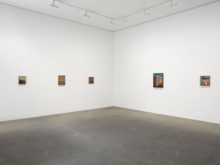 Installation view, Amadeo Luciano Lorenzato, David Zwirner · 2026 (3)