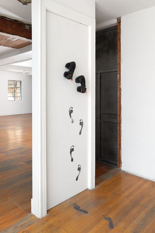 Installation view, Crownsprouting, Commonwealth and Council · 2026 (9)