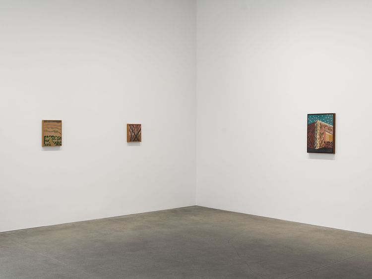 Installation view, Amadeo Luciano Lorenzato, David Zwirner · 2026 (4)