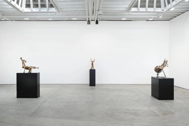 Installation view, Rough Ways of the Delicate Ones, Sebastian Gladstone, Los Angeles · 2026 (6)