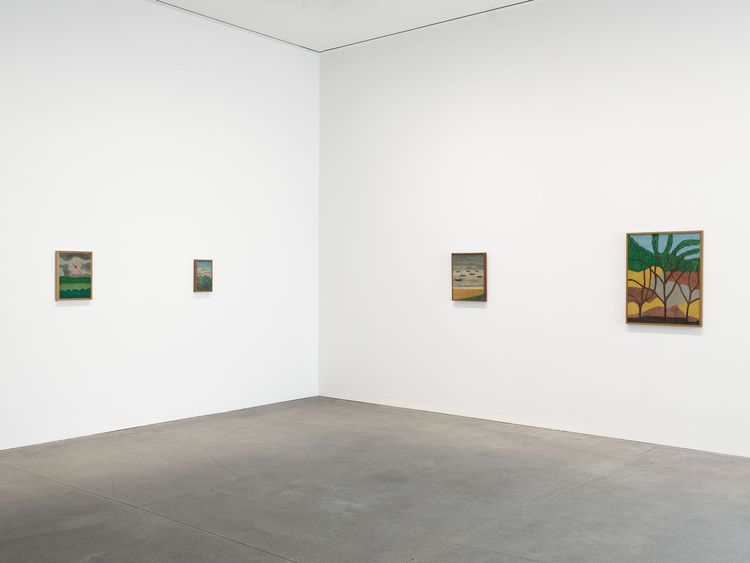Installation view, Amadeo Luciano Lorenzato, David Zwirner · 2026 (7)