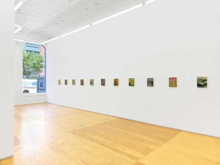 Installation view, John Maclean, Margot Samel · 2026 (2)