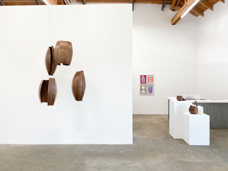 Installation view, Brown Out, Abigail Ogilvy Gallery