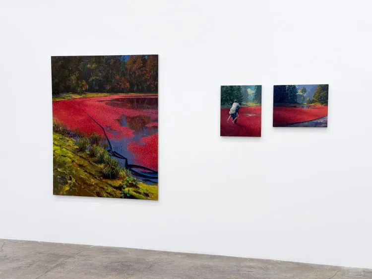 Installation view, Bogged Down, Abigail Ogilvy Gallery · 2026 (6)
