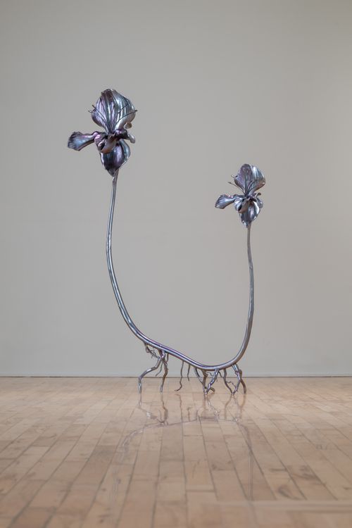 Installation view, Alien Spring, Nicodim