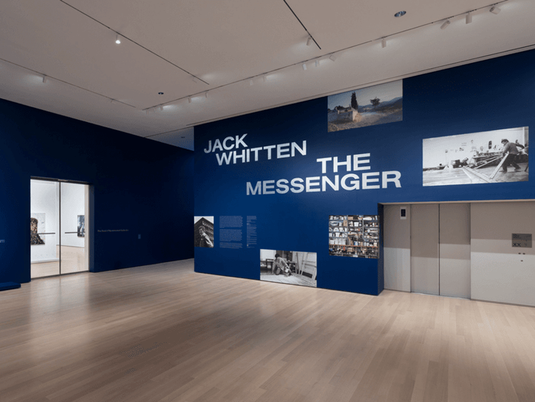 Installation view, The Messenger, MoMA