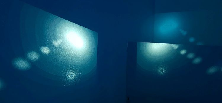 Installation view, The Jaguar in the Mirror, Elza Kayal Gallery · 2025 (3)