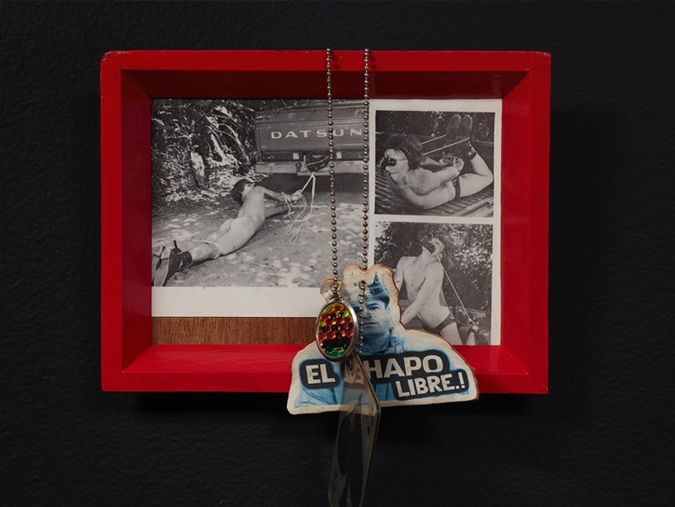 Installation view, Lone Star, Snow