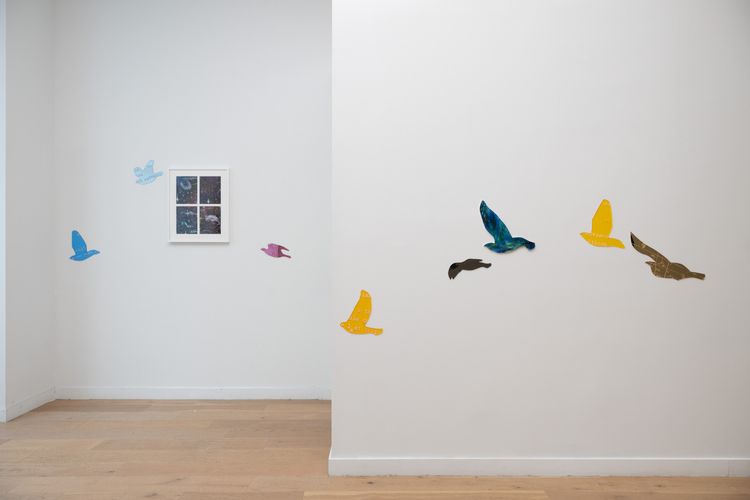 Installation view, Jiaming You: Murmuration, THE BLANC, New York, 2026