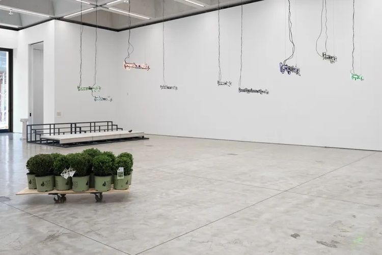 Installation view, Notice of a Citizen, Olney Gleason · 2026 (4)