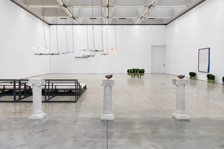 Installation view, Notice of a Citizen, Olney Gleason · 2026 (2)